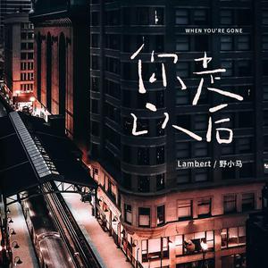 成人香蕉视频下载
